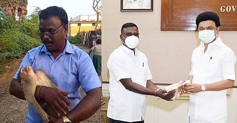 குரங்கை  காப்பாற்ற முயற்சி செய்த ஆட்டோ டிரைவர்... முதல்வர் ஸ்டாலின் பாராட்டு