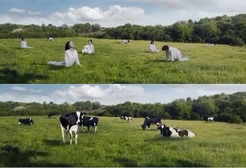 பெண்களை மாடுகளாக சித்தரித்து வெளியான விளம்பரம்...சர்ச்சையில் சிக்கிய பிரபல நிறுவனம்...!