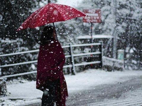 மழையாய் கொட்டும் பனி... மகிழ்ச்சியில் சுற்றுலா பயணிகள்..!