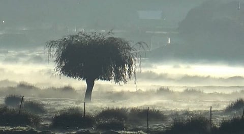 உறைபனியால் காஷ்மீர் போல காட்சியளிக்கும் உதகை...