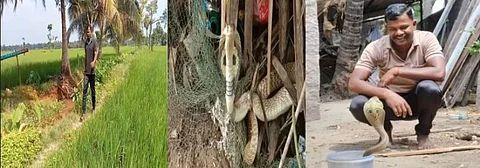 ”பாம்பைக் கண்டால் படையே நடுங்கும்” சிறு குச்சியை கொண்டு பாம்புகளை மீட்கும் விவசாயி...