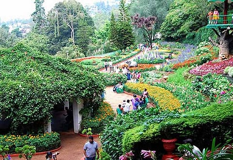 நீலகிரியில் புத்தாண்டு கொண்டாட்டங்களுக்கு தடை...