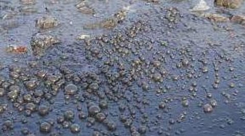 கழிவு நீர் கசிந்து வருவதால் கடற்கரைகளை மூடும் அபாயம்...