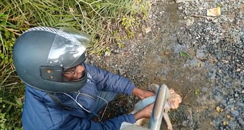 அன்பு தான் சார் எல்லாமே....அடிபட்ட குரங்கிற்கு கடவுளாய் மாறிய நபர்!