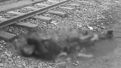 தண்டவாளத்தை கடக்க முயற்சி செய்த நபர்.... ரயில் மோதி உடல் துண்டு துண்டான சோகம்!