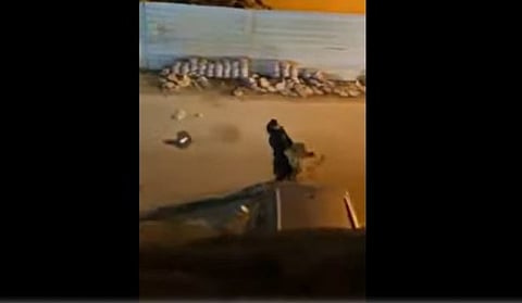 சிங்கத்தை அசால்டா அல்லேக்காக தூக்கி சென்ற சிங்க பெண்!