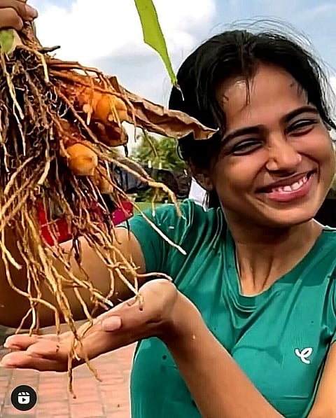 மாடி தோட்டத்தில் விளைந்த மஞ்சள்...அறுவடை செய்து பொங்கல் கொண்டாடிய ரம்யா பாண்டியன்!!