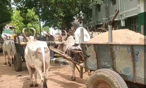 ஆற்றில் கை வைத்த மர்ம நபர்களை மாட்டு வண்டியோடு தட்டி தூக்கிய போலீஸ்!