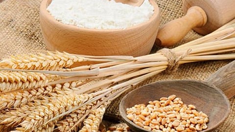 நாட்டில் வரலாறு காணாத அளவிற்கு உயர்ந்த கோதுமை விலை..! காரணம் என்ன?