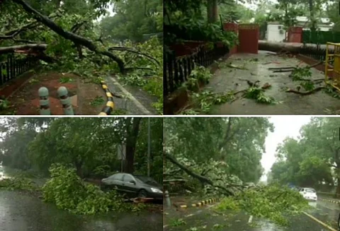 டெல்லியில் சூரைக்காற்றுடன் பரவலாக மழை... வேரோடு சாயும் மரங்களால் கடும் போக்குவரத்து நெரிசல்!
