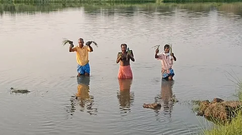 ஏரியின் மதகை உடைத்த மர்ம நபர்கள்..!தண்ணீர் வெளியேறியதால் 300 ஏக்கர் விளைநிலங்கள் நாசம்..!
