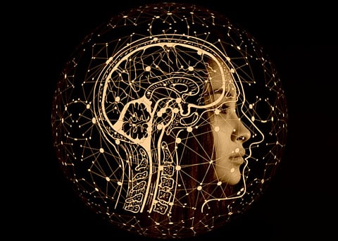 நானும் ஒரு மனிதன் தான்.. மகிழ்ச்சி, துக்கம் போன்ற உணர்வுகள் எனக்கும் உண்டும்.. ஆச்சரியத்தில் ஆழ்த்திய கூகுள் கண்டுபிடுப்பு!!