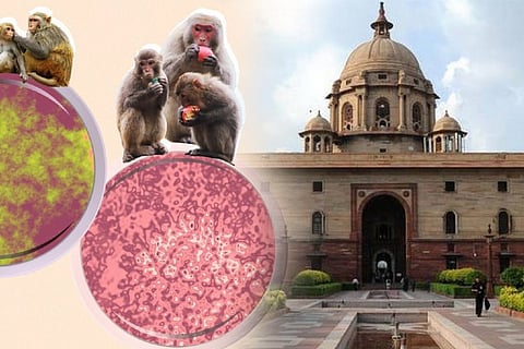 குரங்கு அம்மை நோய்: வழிகாட்டு நெறிமுறை வௌியிட்ட மத்திய அரசு