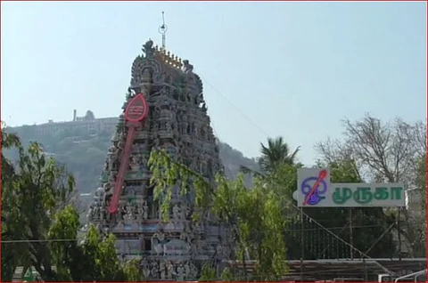 ஞாயிற்றுக் கிழமை என்பதால் மக்கள் கூட்டம் வழிந்து நிரம்பி காணப்பட்டது பழனி தண்டாயுதப்பாணி கோவில்!!