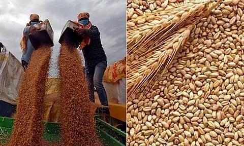 உக்ரைன்- ரஷ்யா இடையே ஒப்பந்தம்...ஐநா முன்னிலையில் கையெழுத்து..!