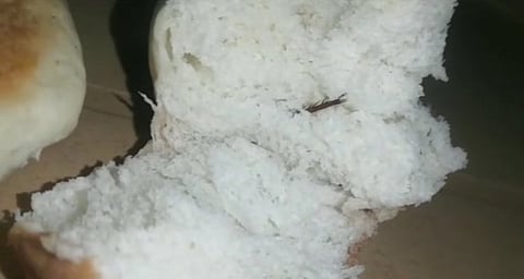 ஆம்பூர் பேக்கரியில் வாங்கிய ப்ரெட்டில் கரப்பான் பூச்சி! வாடிக்கையாளர் அதிர்ச்சி!
