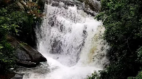 கொடைக்கானல் வெள்ளி நீர்வீழ்ச்சியில் ஆர்ப்பரித்து கொட்டும் தண்ணீர்.. சுற்றுலா பயணிகள் மகிழ்ச்சி!!