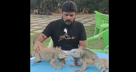 சட்டவிரோத பணப்பரிமாற்றம்....அரிய வகை உயிரினங்கள்...அதிகாரிகளின் சோதனையில் சிக்கிய தொழிலதிபர்!