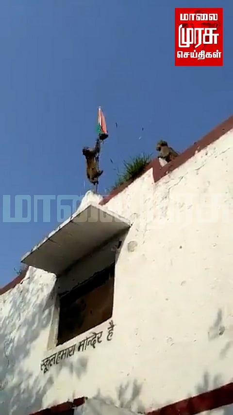 பள்ளி மொட்டை மாடியில் குரங்குகள் கொடியேற்றும் வைரல் வீடியோ..!