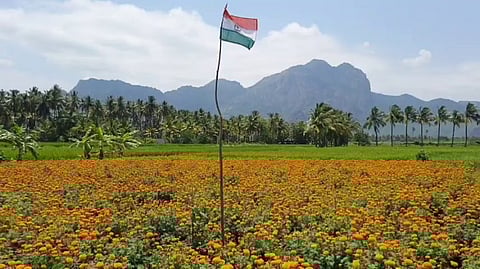 ஓணத்திற்கு தயாராகும் பூக்கள்! விவசாயிகள் நம்பிக்கை!