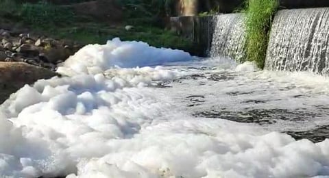 நுரை பொங்கி காட்சியளிக்கும் பாலாறு...நோய் ஏற்படும் அபாயம்...விவசாயிகள் கோரிக்கை!