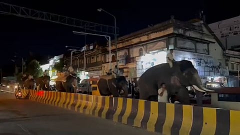 மைசூரு சாலைகளில் கஜபடை!!! தசரா கொண்டாட்டங்கள் தொடக்கம்!!!