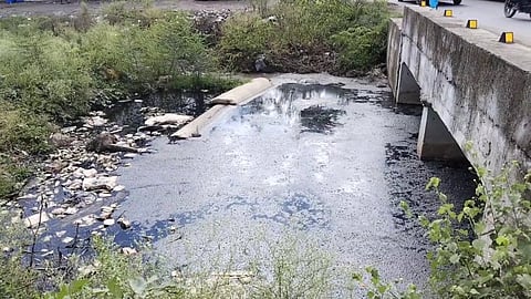 அடையார் ஆற்றில் கலக்கும் கழிவுநீரால் பிரச்சனை!!!