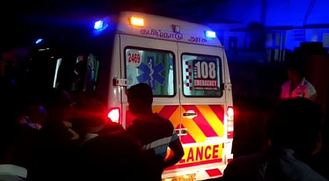 குட்டியுடன் சென்ற கரடி திடீரென தாக்கியதால் பரபரப்பு!