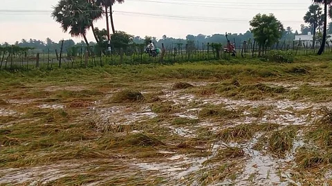 இரண்டு நாள் மழை...விவசாயிகளுக்கு காத்திருந்த அதிர்ச்சி...!