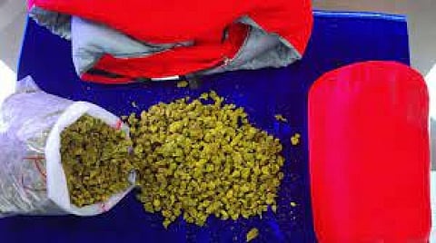 ஆப்ரேசன் கஞ்சா வேட்டை 2.0:  தமிழக காவல்துறை சொல்வது என்ன?