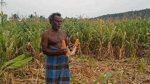 யானைகளை வரவிடாமல் தடுக்க வேண்டி விவசாயிகள் கோரிக்கை...