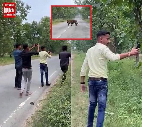 தயவு செய்து இப்படியெல்லாம் செய்யாதீர்கள்... வைரலாகும் புலி வீடியோ!