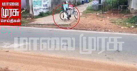 தினமும் நியூஸ்பேப்பர் வாங்கி வரும் வளர்ப்பு நாய் கமலி...! வைரல் வீடியோ...!