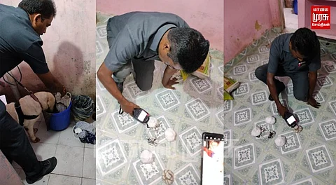 நாட்டு வெடிக்குண்டுடன் பதுங்கியிருந்த 2 ரவுடிகள் கைது...