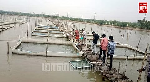 வேளாண் மாணவர்களுக்கு மீன், நண்டு வளர்ப்பு பயிற்சி...