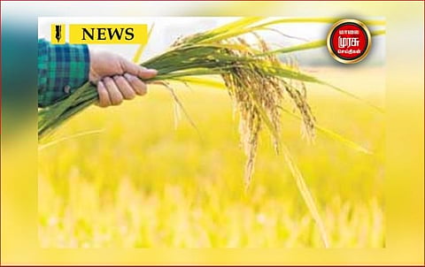 மாநில அரசின் கோரிக்கையை ஏற்ற மத்திய அரசு...மகிழ்ச்சியில் விவசாயிகள்...!