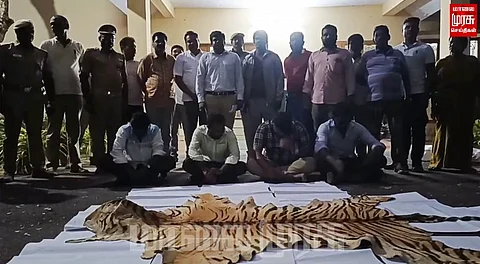 புலித்தோலை விற்க முயன்ற 4 பேர் கைது... குமரியில் பரபரப்பு...