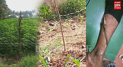 மிருகங்களுக்காக போடப்பட்ட வேலியில் சிக்கி உயிரிழந்த வாலிபர்...