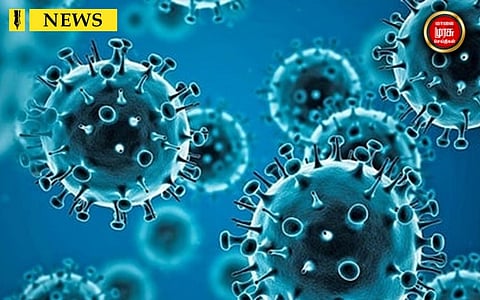 சீனாவில் உருவாக்கப்பட்ட கொரோனா வைரஸ்...நிதியுதவி செய்த அமெரிக்கா...உண்மையில் நடந்தது என்ன?!!