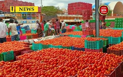 கோயம்பேடு சந்தையில் தக்காளி விலை கடும் சரிவு...விவசாயிகள் வேதனை..!