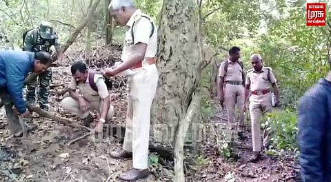தொடங்கியது பொள்ளாச்சி புலிகள் காப்பகத்தில் கணக்கெடுப்பு பணி...