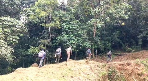 வனவிலங்குகள் கணக்கெடுக்கும் பணி தொடக்கம்...!