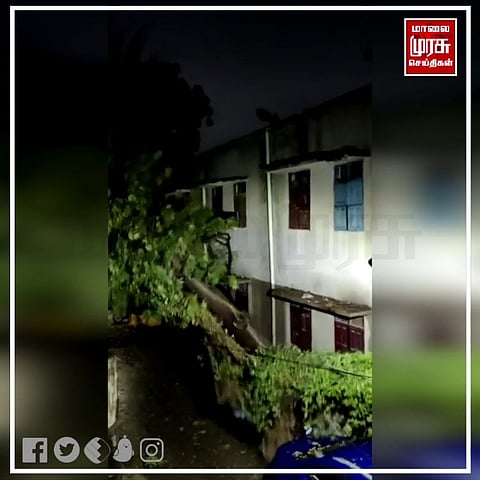 புயலில் வேரோடு சாயும் 30 ஆண்டுகள் பழமையான மரம்...! வெளியான வீடியோ காட்சி..!