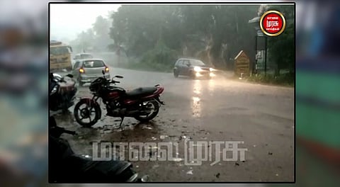 மழையால் பயிர்களில் பூச்சிகள் தெளியும் என மகிழ்ச்சியில் விவசாயிகள்...