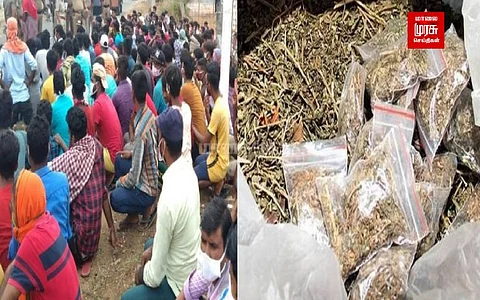 கஞ்சா விற்பனைக்கு கல்லூரி மாணவர்களை குறிவைக்கும் வெளிமாநிலத்தவர்கள்