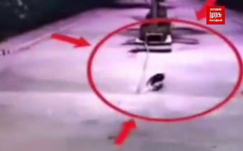 கல்லூரி வளாகத்தில் சுற்றி திரியும் சிறுத்தை...! அச்சத்தில் மாணவர்கள்...!