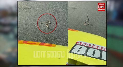 சாலை மறியலில் இறங்கிய ‘நல்ல பாம்பு’...
