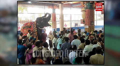 பழமுதிர்சோலையில் 2 கோடி ரூபாய்க்கு புது கதவுகள்...