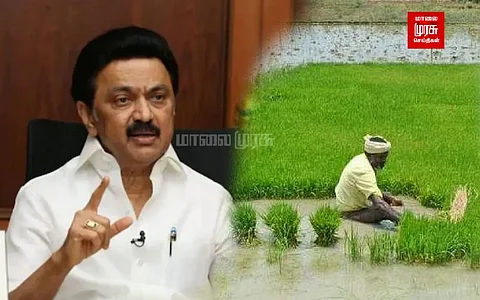 டிசம்பர் 23...தேசிய விவசாயிகள் தினம் கொண்டாடப்படுவது ஏன்? வாழ்த்து தெரிவித்த முதலமைச்சர்!