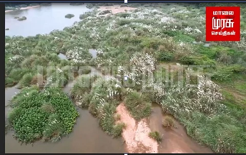வைகை ஆற்றை சுத்தம் செய்யுங்கள் - சிவகங்கை விவசாயிகள் வலியுறுத்தல்